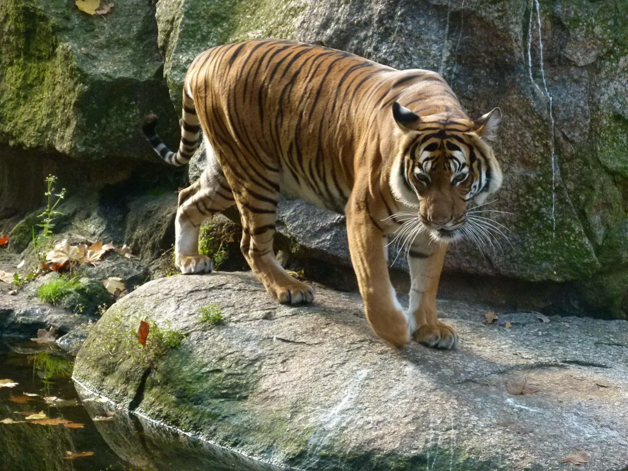 Zoo Berlin